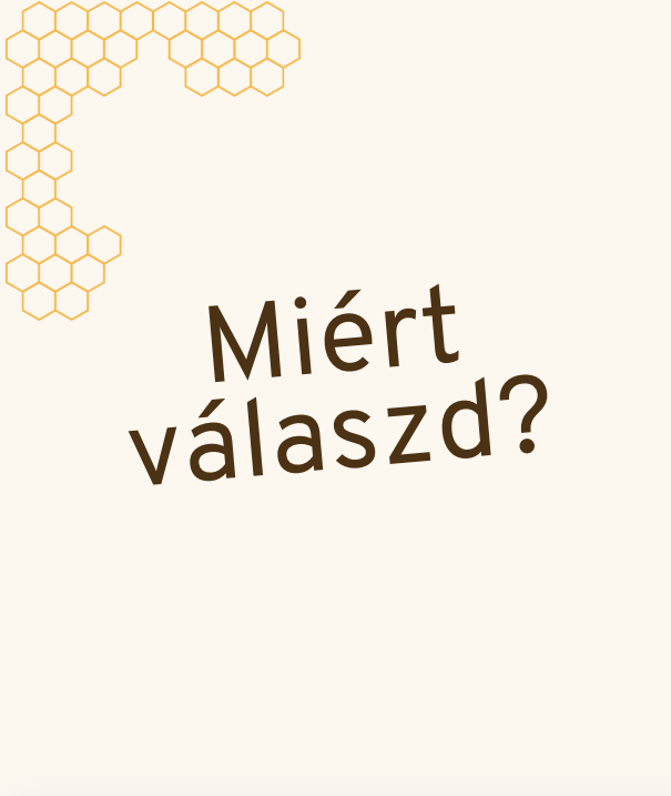 Greenshot 2025-02-28 15.44.40